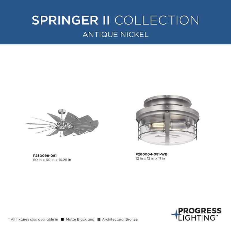 Springer II Collection Antique Nickel Rustic Light Kit for Ceiling Fan - 12 in x 12 in x 11 in