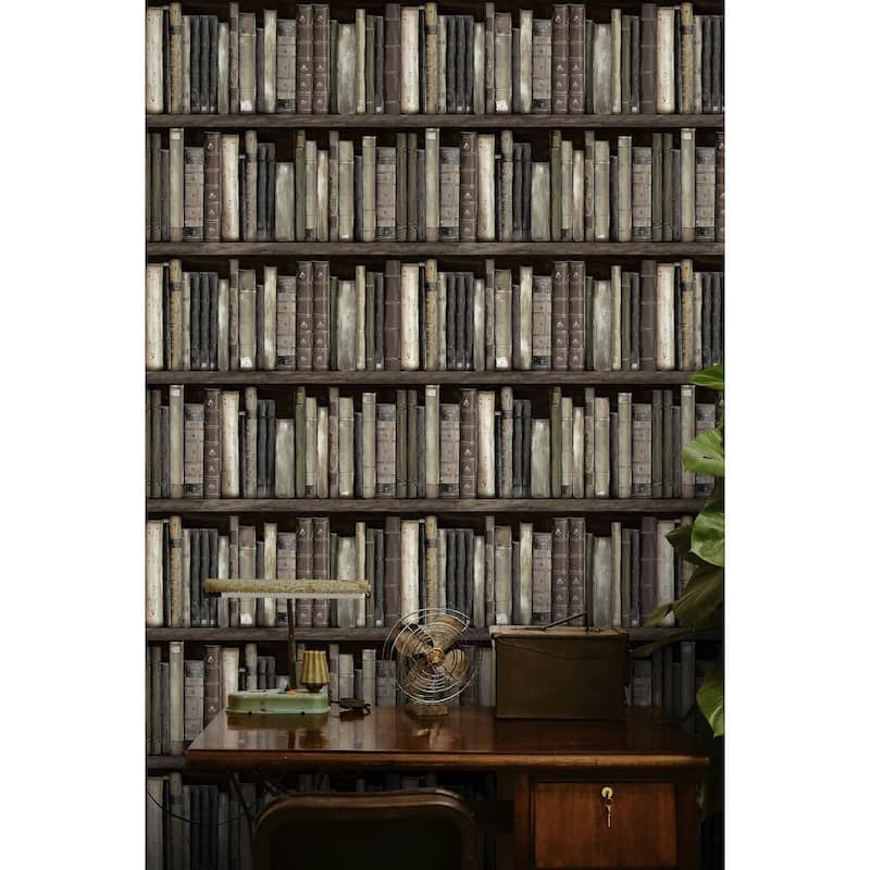 Harry & Grace Faux Bookshelves Peel and Stick Wallpaper