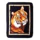 Option tiger with border