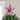 LED Lighted Star Christmas Tree Topper - 11"  - Multicolor Lights
