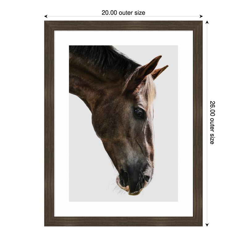 Majestic Equine Gaze by Shot by Clint Wood Framed Wall Art Print