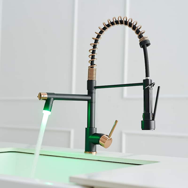 2-Spout Single-Handle Kitchen Faucet with LED Light