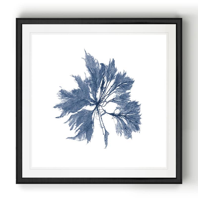 Navy Seaweed I -Black Framed Print