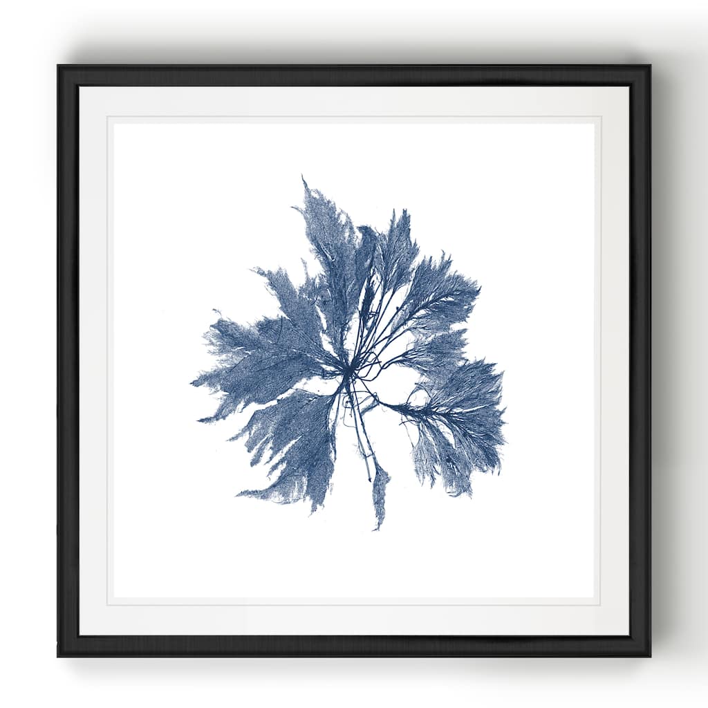 Navy Seaweed I -Black Framed Print