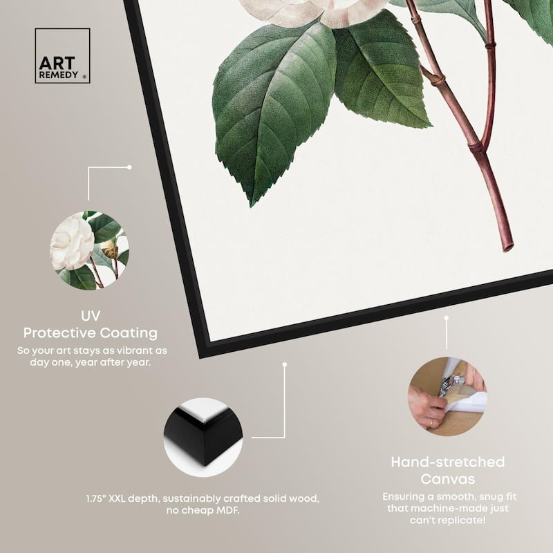 White Camellia Canvas by Art Remedy