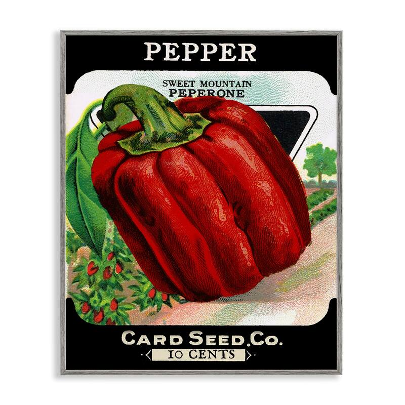 Stupell Vintage Garden Peppers Framed Giclee Art Design By Lil' Rue - 16 x 20 - Grey