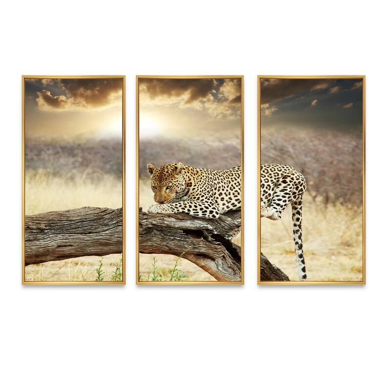 Designart "Leopard Relaxing on Tree" Animal Framed Wall Decor Set of 3