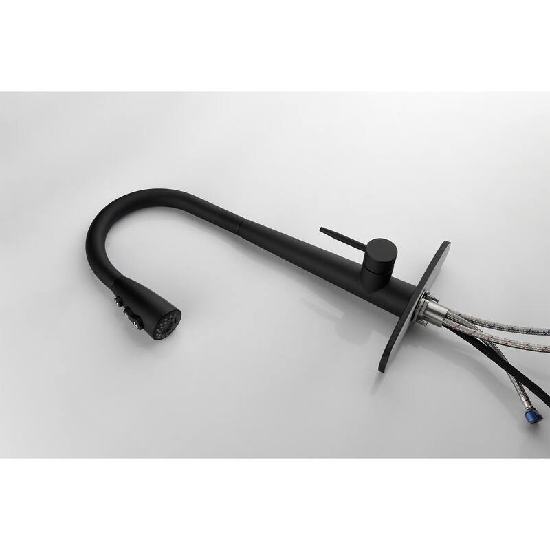 Single Handle Stainless Steel Kitchen Sink Faucet With Pull Down Sprayer