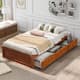 Option Oak