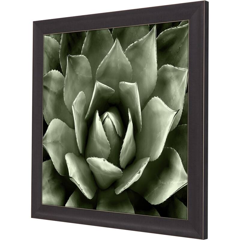 Green Succulent II Framed Art Giclee Under Glass