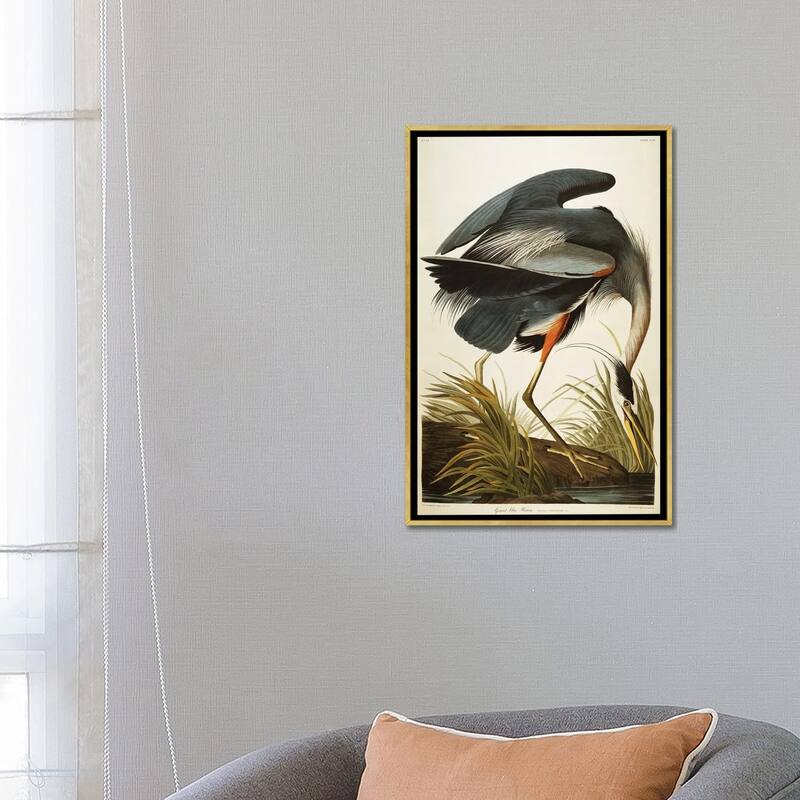 iCanvas "Great Blue Heron " by John James Audubon Framed Canvas Print