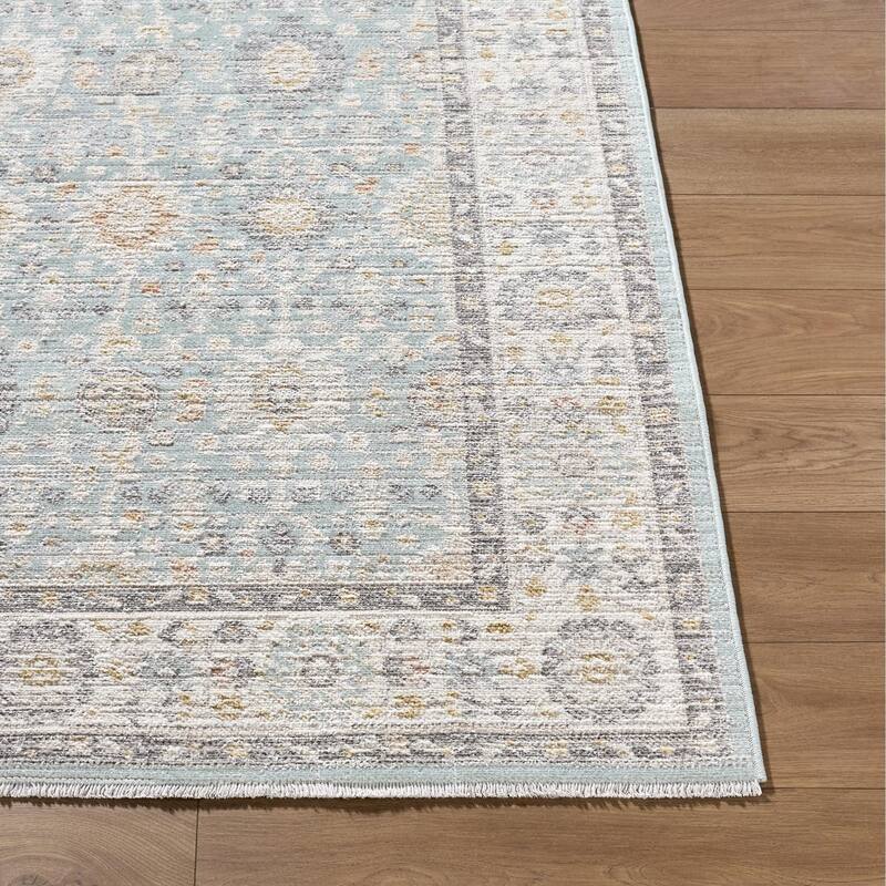 Livabliss Amir Traditional Area Rug