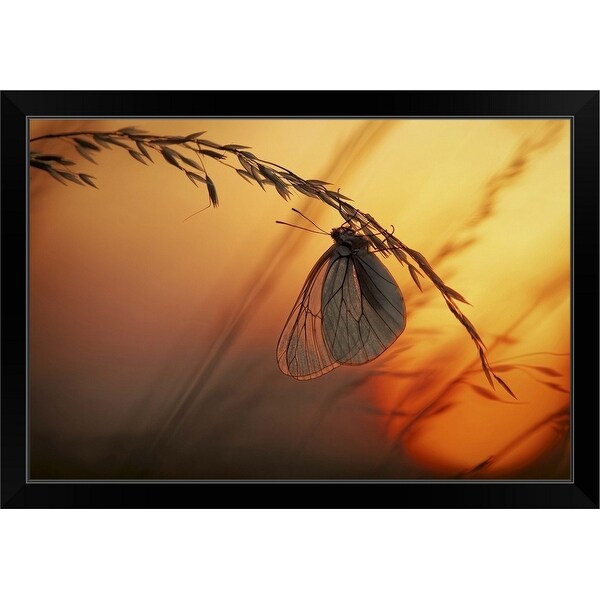 "Good Night" Black Framed Print