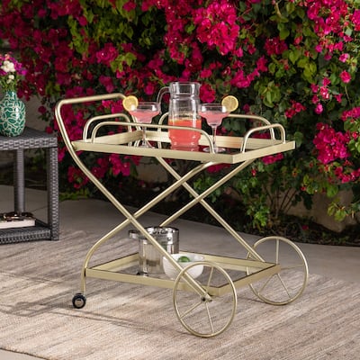 Perley Traditional Glass Bar Cart with Shelves by Christopher Knight Home - N/A