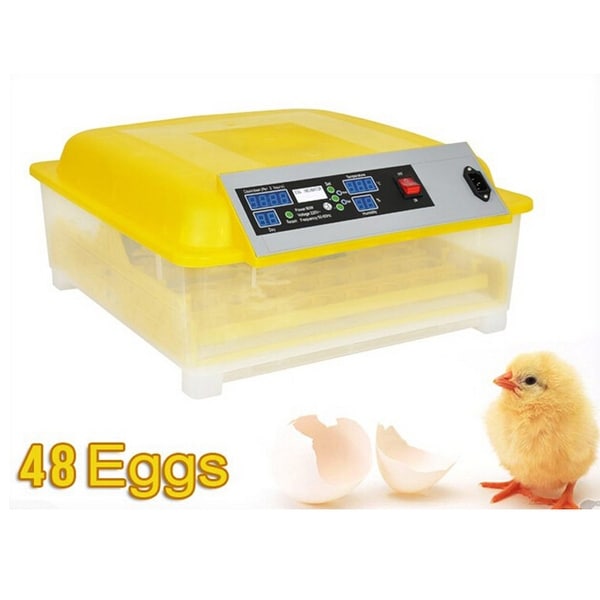 Egg Incubator Hatcher 48 Digital Clear Temperature Control Automatic Turning New 110V