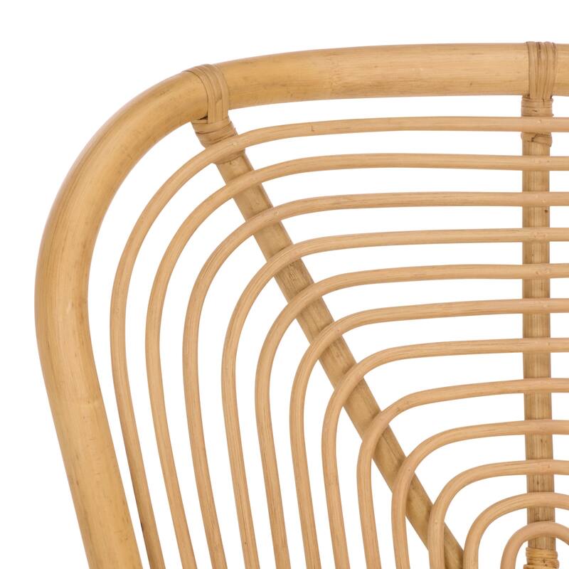 SAFAVIEH Home Rimma Rattan Arm Chair (Set of 2) - 22"W x 23"D x 36"H