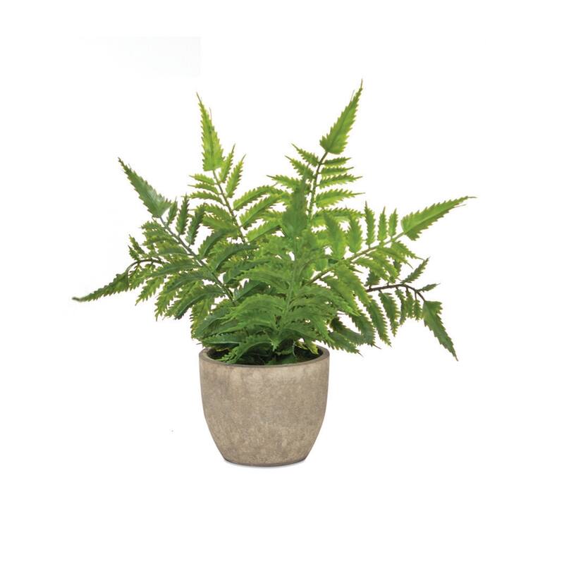 Potted Fern Plant (Set of 3) - 11 x 3.5 x 9.5