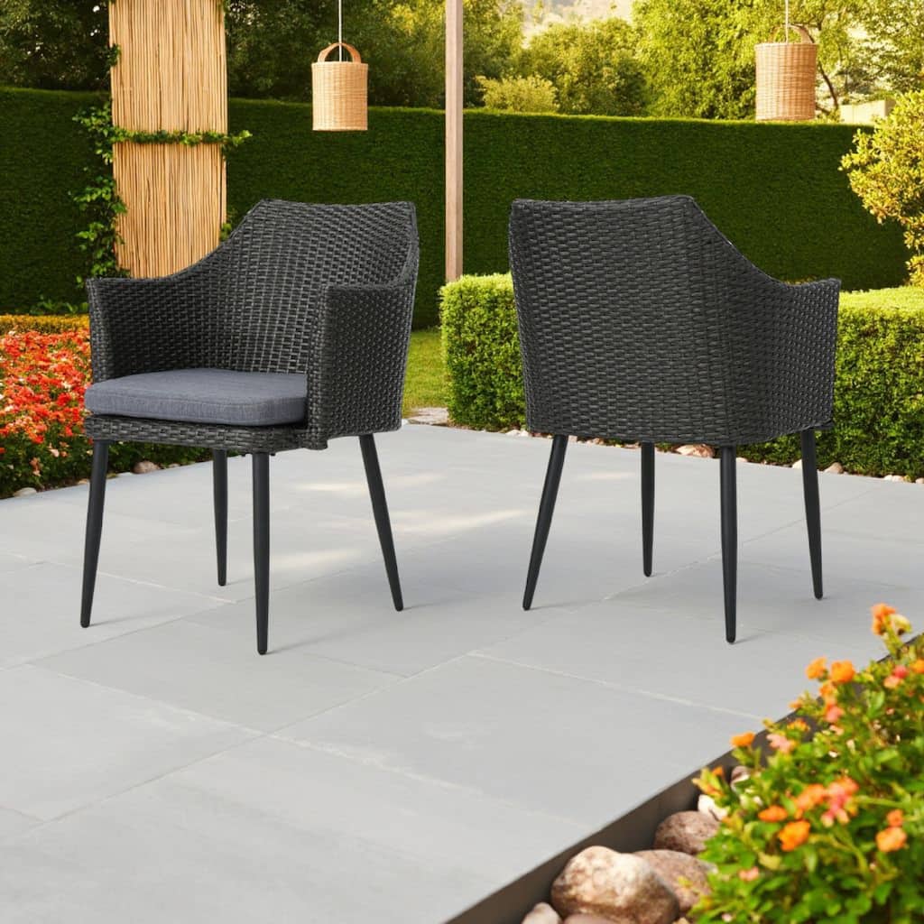Kenny Outdoor Accent Chair Set of 2, Gray Polyester, PE Rattan, Iron