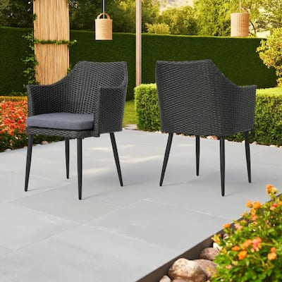 Kenny Outdoor Accent Chair Set of 2, Gray Polyester, PE Rattan, Iron