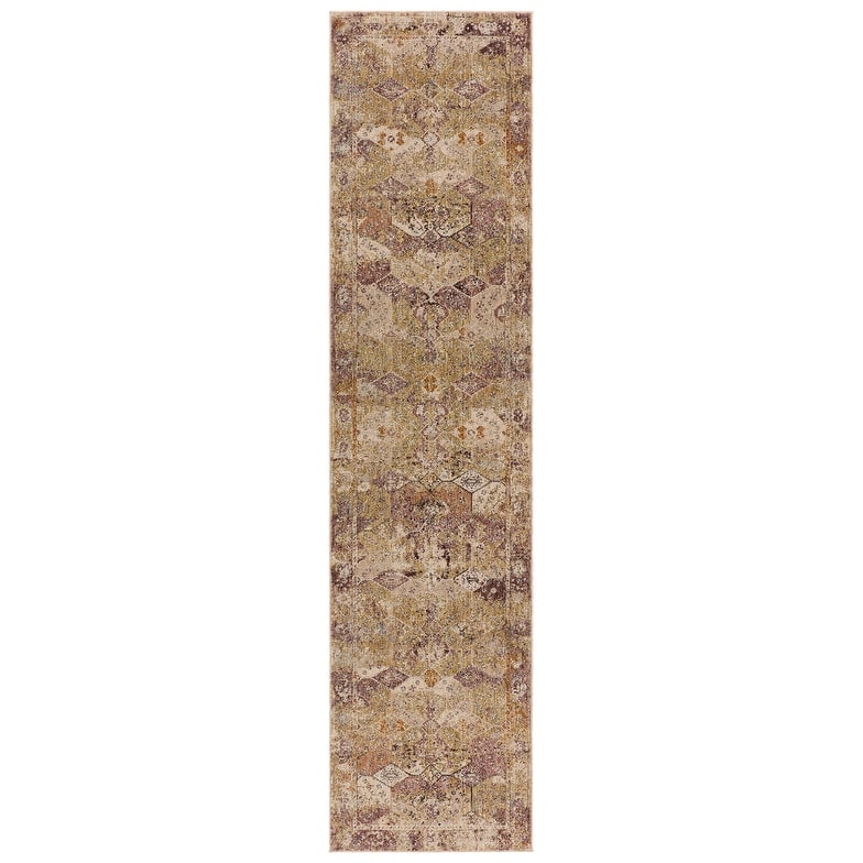 Sebastian Medallion Area Rug