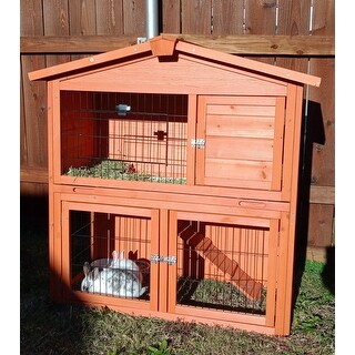 multi level rabbit enclosure