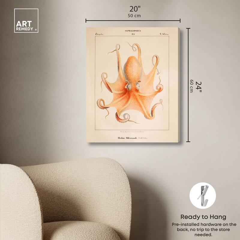 Verany The Octopus 1815 II Canvas by Art Remedy, Gallery Wrapped