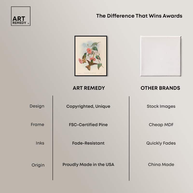 Gould's Hummingbirds Canvas by Art Remedy
