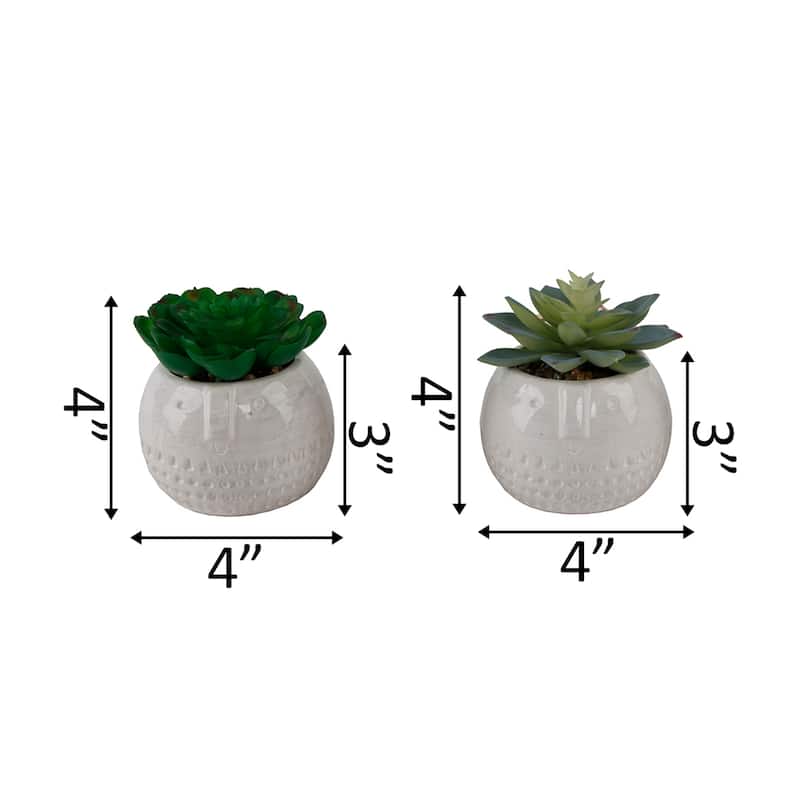 SET OF 2 Faux Succulent in CYLINDER COOL FACECeramic Pot - ONE-SIZE