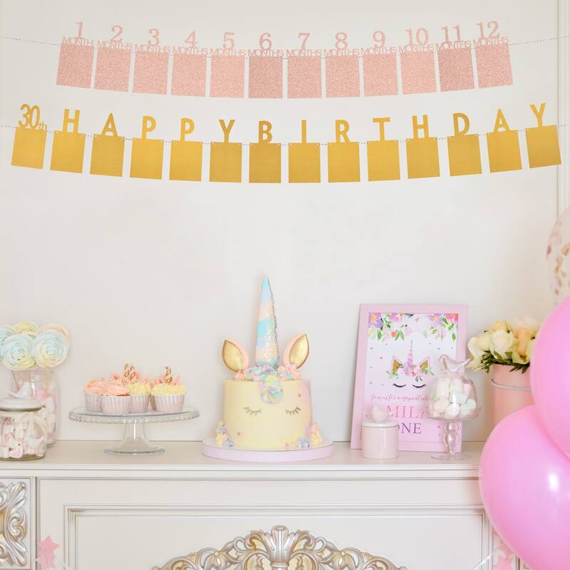 1st Birthday Photo Banner Decorations from 1 to 13 Months 13 Pieces