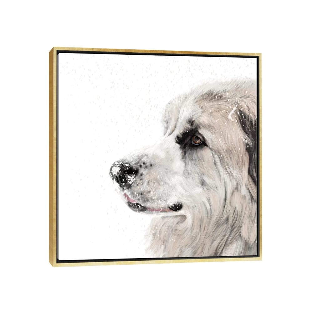 iCanvas "Great Pyrenees" by Vicki Newton Framed