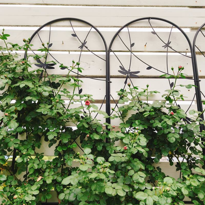 2 Pack Metal Garden Trellis 86.7" x 19.7" Rustproof Trellis for Climbing Plants Outdoor Flower Support Dragonfly Deco