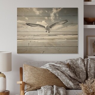 Designart "Grey Beach Seagulls In Flight I" Animals Print on Natural ...