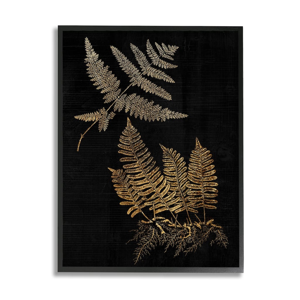 Stupell Fern Plant Illustration Bold Vintage Forest Botanical Framed Wall Art