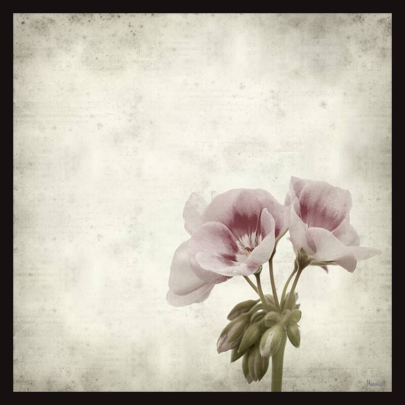 I Must Have Flowers Framed Print