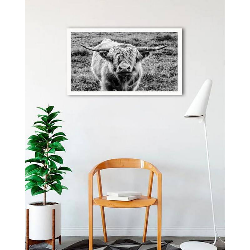 Highland Cow Staring Framed Poster - 24 x 32 Inch - White