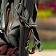 preview thumbnail 35 of 38, Arden Selections Outdoor Dining Chair Cushion