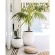 preview thumbnail 13 of 28, DreamPatio La Mirada 1-piece Fiberstone Tapered Planter for Indoor/Outdoor