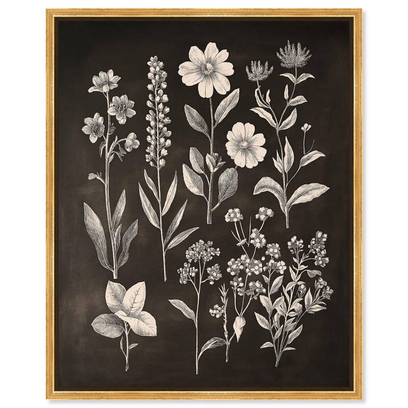 Herbarium on Dark Canvas by Art Remedy - Gold - 36" x 45"