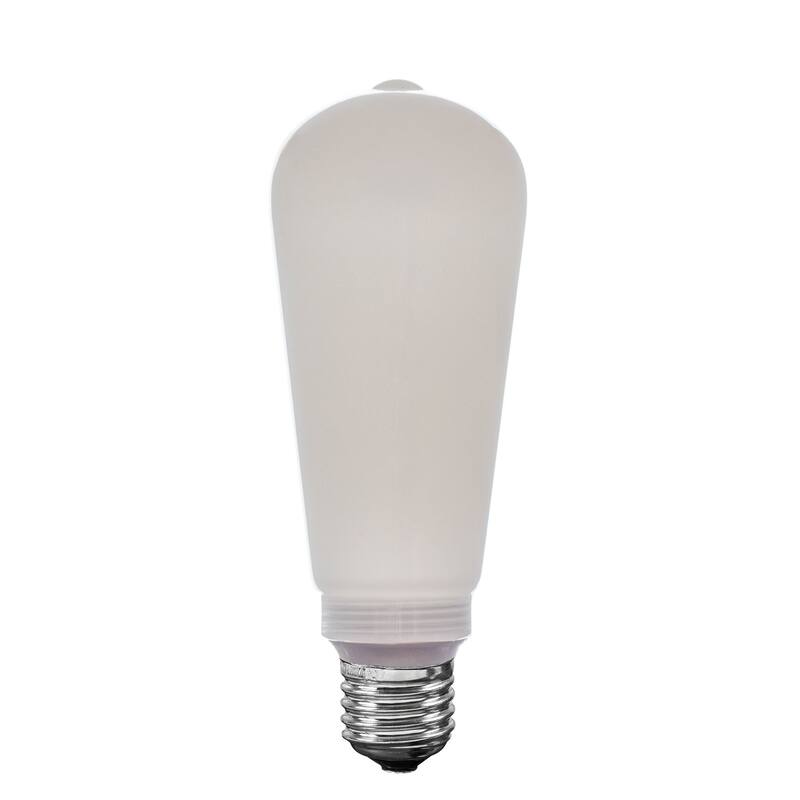 Festive Living LED ST19 + COB Bulb Indoor/Outdoor Covered Edison Bulbs, E26 Base - Velora Light - Large
