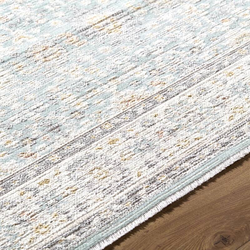 Livabliss Amir Traditional Area Rug