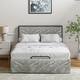 Option DAMASK