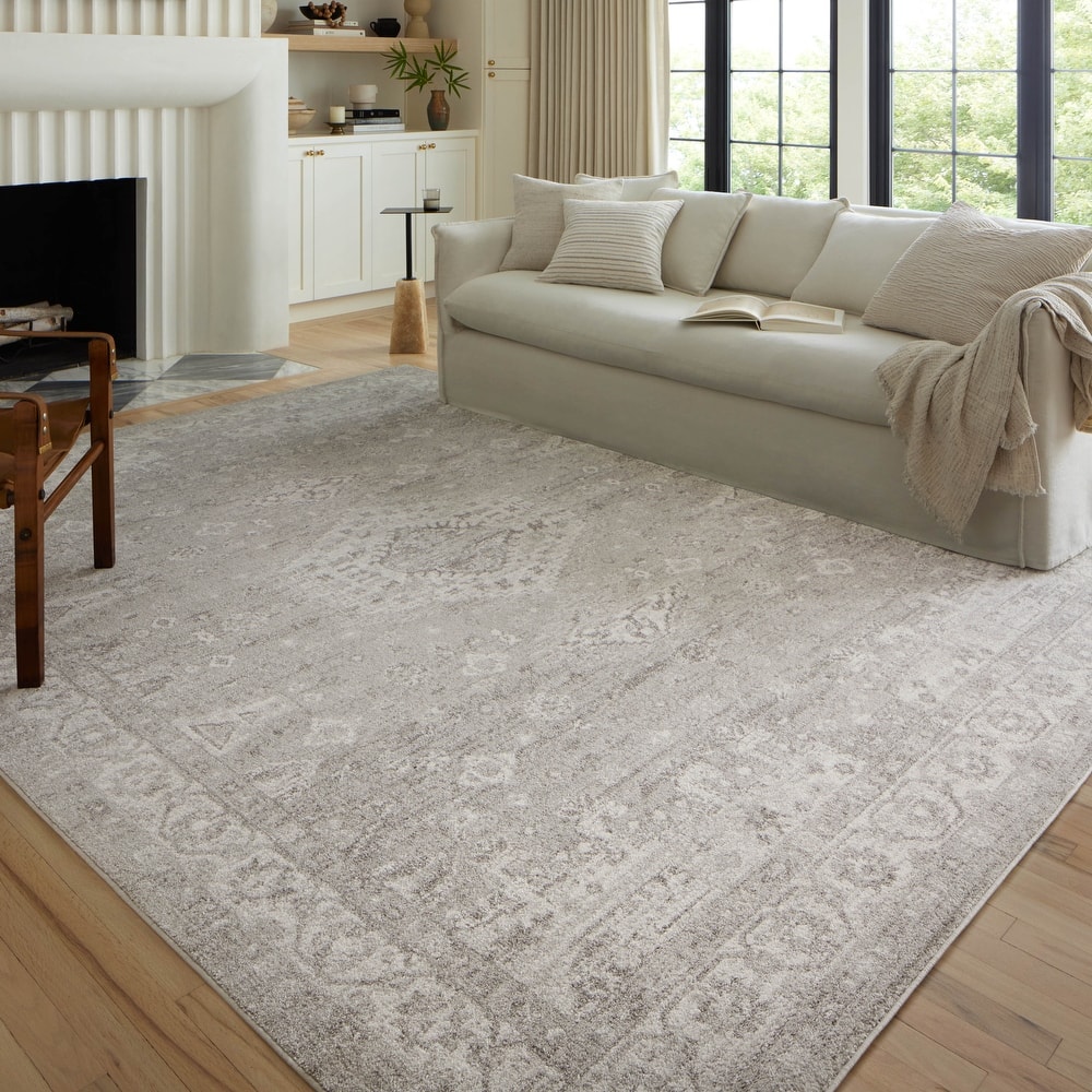Alexander Home Colette Distressed Botanical Area Rug