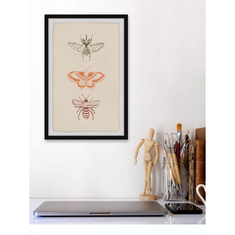 'Assorted Moths' Framed Painting Print