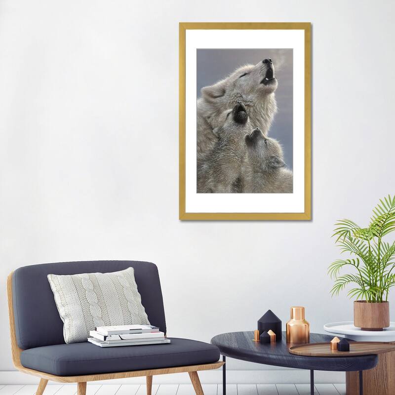 iCanvas "Wolf Singing Lessons" by Collin Bogle