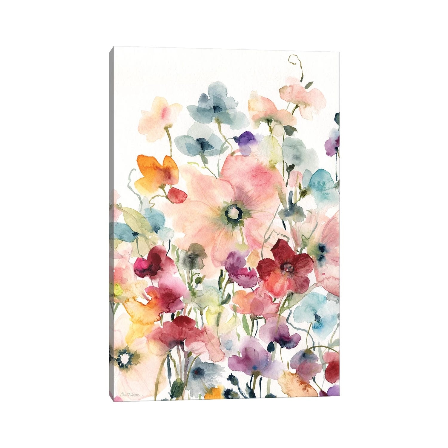 iCanvas "Poppies and Sweetpeas" by Carol Robinson Canvas Print