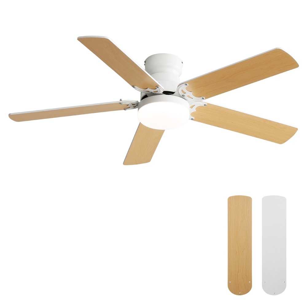 42-inch Flush Mount and Downrod Mount Ceiling Fan with Light and Remote, 5 Plywood Blades - 42 Inch diameter