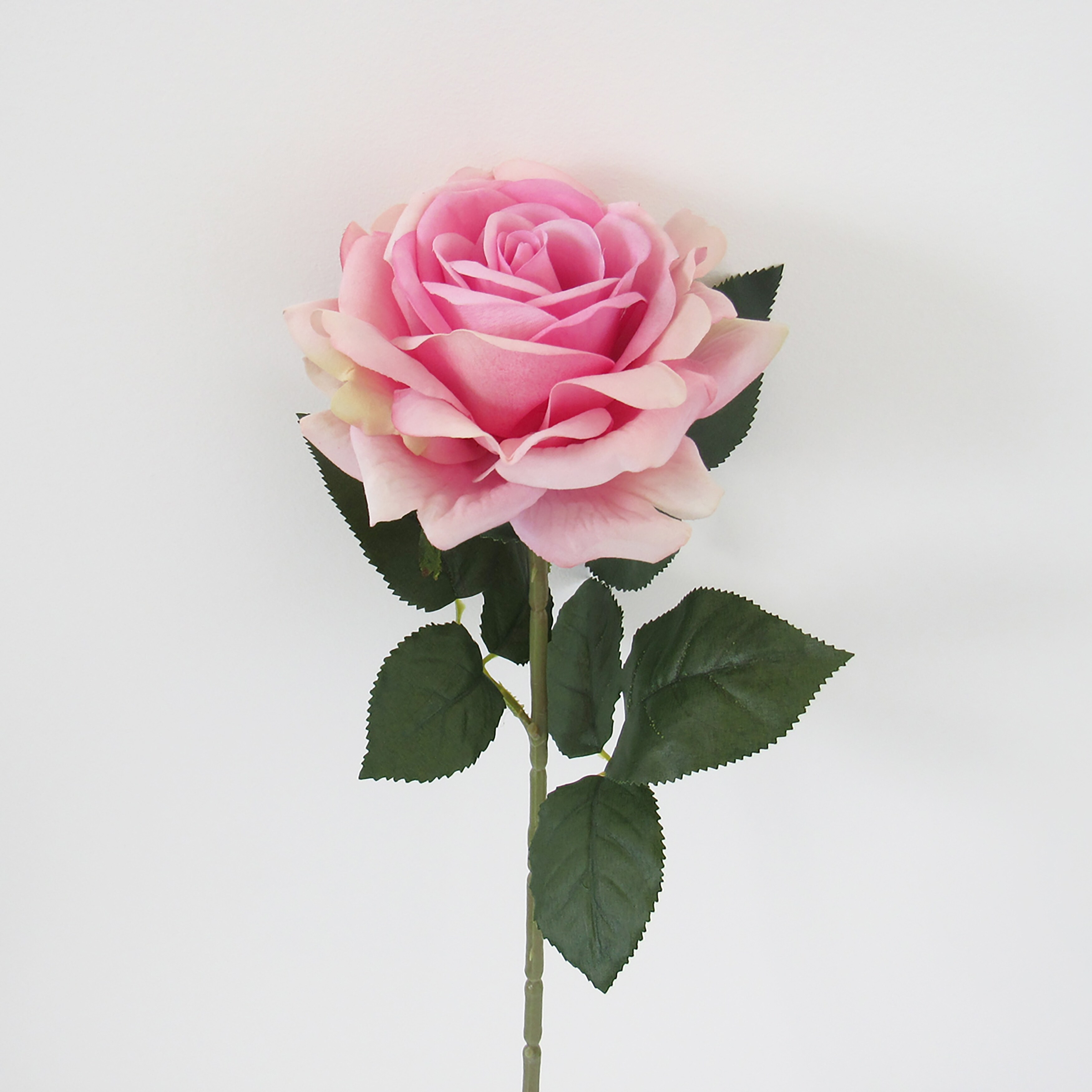set of 6 Vintage Light Pink Velvet Rose Leaves
