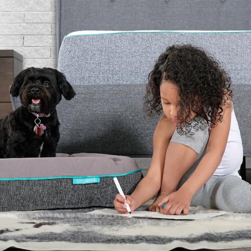 Sleepenvie Jaxon Waterproof Memory Foam Dog Bed