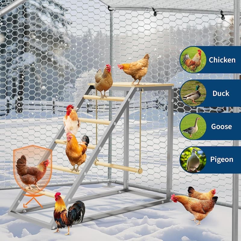 Chickens Roosting Bars for Coop