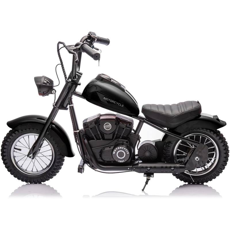 Electric Motorcycle for Kids, 24V 250W Kids Electric Dirt Bike
